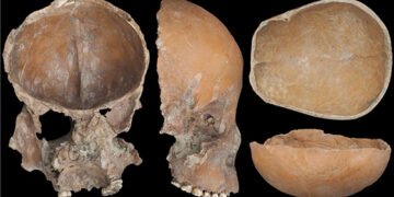 Чаші та маски з людських черепів: предки кам’яної доби в Китаї перетворювали кістки на “декор”