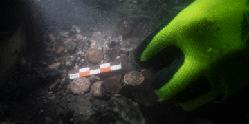 Пролежали під водою майже 1800 років: у Франції дайвери знайшли 847 римських монет