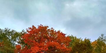 Гріємося, не соромимося одягати смішні шапки: Наталка Діденко розповіла про погоду на завтра 