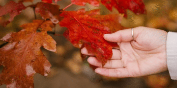 Дві хвилі похолодання йдуть до України: синоптик назвав дати