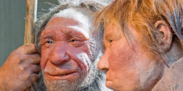 Неандертальці не вимерли: вчені пояснили, як це можливо