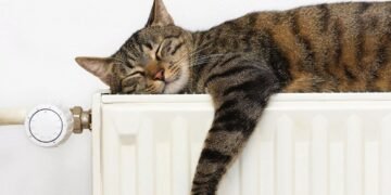 В Укренерго дали пораду українцям: “Потрібно не доводити температуру до 20–22 градусів, а одягнути додатковий светр”