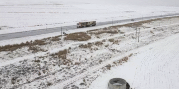 Негода вдарила по Львівській області: знеструмлено сотні населених пунктів