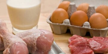 Молоко и мясо могут подорожать из-за блэкаутов в Украине