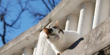 В Украине ожидается зима: синоптик назвала точную дату