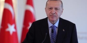 Ердоган звернувся до України та Росії після інциденту з безпілотником над Чорним морем