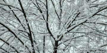 Синоптикиня: Схоже, що Новий рік буде із морозом та снігом. Все, як просили