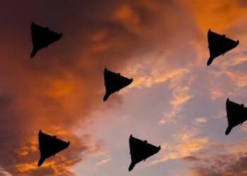 Зеленський: В Україні недостатньо перехоплювачів для дронів і питання вже не в грошах