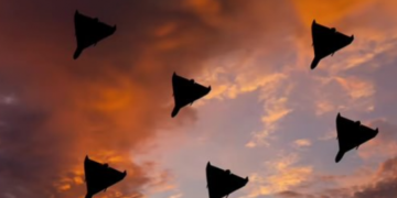 Зеленський: В Україні недостатньо перехоплювачів для дронів і питання вже не в грошах