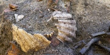 Історична загадка: археологи знайшли незвичайне поховання вікінгів