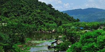 Китай посадив так багато дерев, що це поступово міняє клімат