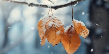 В Україні різко зміниться погода: прогноз на 28 грудня