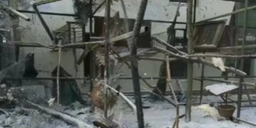 В Харькове из-за российского удара по экопарку пострадала волонтер, ранены львы. ВИДЕО