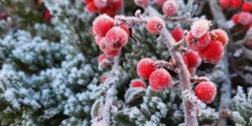 Мороз продержится всю неделю: прогноз Укргидрометцентра