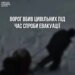 Подвійний удар по цивільних: окупанти вбили чоловіка та жінку під час евакуації на Сумщині