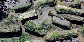 Збройова кузня імперії: у Північній Англії знайшли гігантський римський військовий завод