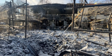 Армія РФ атакувала екопарк у передмісті Харкова: леви поранені, птахи загинули