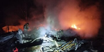 Атака рф по Запоріжжю і області: поранено 10 людей, знищено притулок для собак, загинули тварини