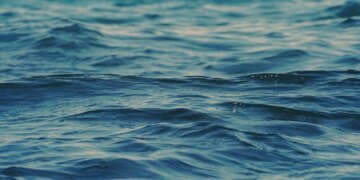 Україна втратила понад 272 тис. га морських заповідних акваторій через агресію рф – Академія наук