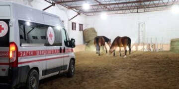 Рятувальна операція на Харківщині: 19 коней евакуйовано з прифронтової зони