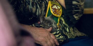 Понад 130 тис. українців евакуйовано за рік, житло потрібне 4,6 млн переселенців – віцепрем'єр