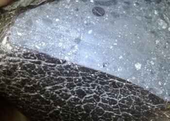 Вчені знайшли воду всередині марсіанського метеорита Black Beauty