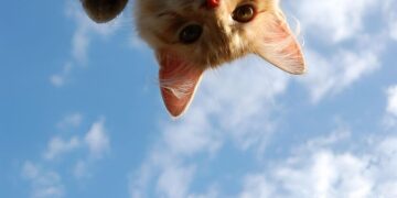 Готовьте пуховики и зонты: на Украину надвигается погодный коктейль со снегом и штормом