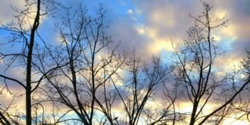 Наталка Діденко розповіла, якою буде погода у День святого Валентина, та коли прийде похолодання