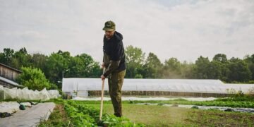 Канада инвестирует около €13,2 млн в развитие украинских фермеров.