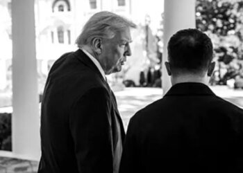 «Козырей у него стало еще меньше», – Трамп потребовал от Зеленского немедленной сделки с Путиным