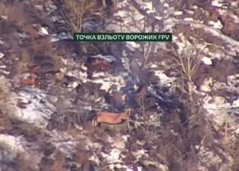 Прикордонники знищили техніку, склади боєприпасів та міномет росіян