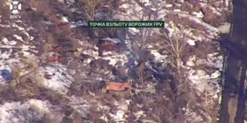 Прикордонники знищили техніку, склади боєприпасів та міномет росіян