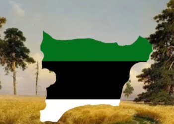 Пророссийские каналы продвигают идею «Нарвской народной республики» в Эстонии