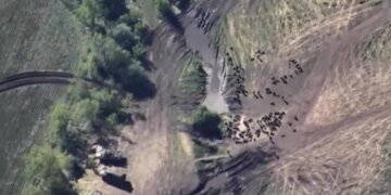 ВСУ ударили по российскому полигону во время стрельб:  минус много офицеров