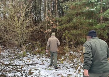 Прокуратура подала иск к лесхозу из-за незаконной вырубки деревьев в Тернопольской области