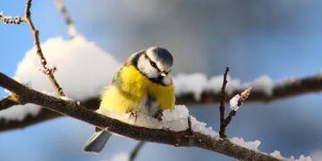 От -4 до +13: Украину накроет мощная температурная аномалия