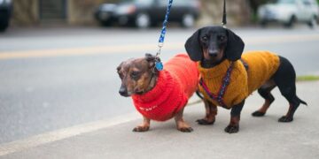 “Морозы не идут”: Диденко раскритиковала Telegram-каналы за панику вокруг похолодания