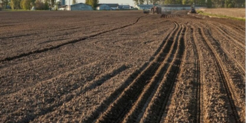Земельные участки украинцев внепланово проверят: к кому нагрянут инспекторы