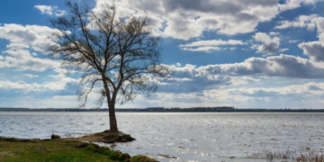 Ночные заморозки возвращаются: Диденко предупредила, какие области “накроет” первыми