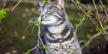 Ночной “минус” и первые весенние дожди: как изменится погода в Украине в начале недели