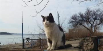 Весна уходит, толком не начавшись: в Украину несутся заморозки