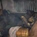 В Виннице из-за электроодеяла произошел пожар: спасли 83-летнюю женщину