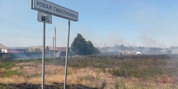 Свои хуже чужих: кадыровцы жестко мародерят и избивают жителей Белгородской области