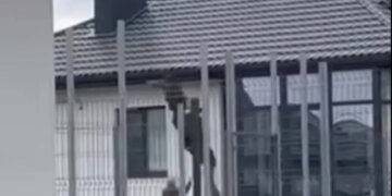 На Волині люди у формі скинули чоловіка з даху будинку – відео і реакція ТЦК