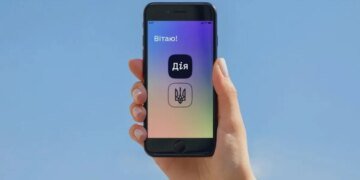 Как проверить страховой стаж через «Дію»