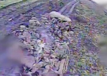 Украинский пограничник с помощью одного FPV-дрона уничтожил 11 оккупантов: как ему это удалось. ВИДЕО