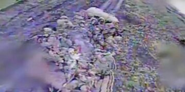 Украинский пограничник с помощью одного FPV-дрона уничтожил 11 оккупантов: как ему это удалось. ВИДЕО