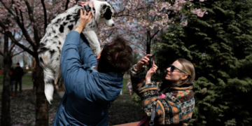 Заморозки захватят всю Украину: синоптики объявили оранжевый уровень опасности