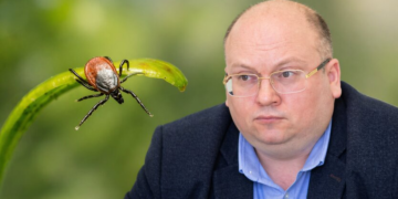 Киев атакует болезнь Лайма: какие симптомы и как не допустить менингит