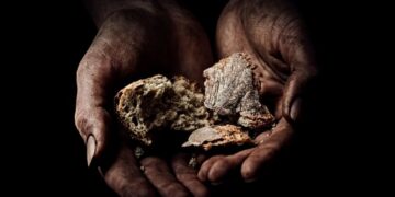 Мир на пороге “продовольственного раскола” между сытым Западом и голодными регионами – Устенко